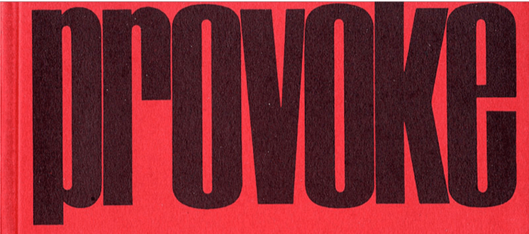 Llamazares Fotografía - provoke.png